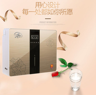 2017年溢思源纯水机厂家批发(图)-项目网